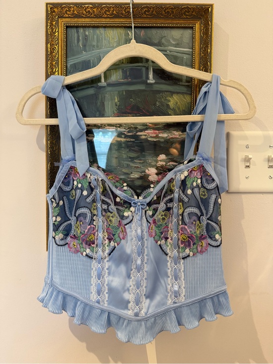For Love And Lemons Tops - For Love And Lemons Light Blue Embroidered Satin Bustier Top